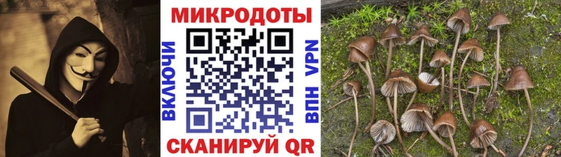 Галлюциногенные грибы прущие грибы  Болохово 
